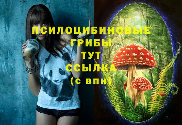 гидра Аркадак