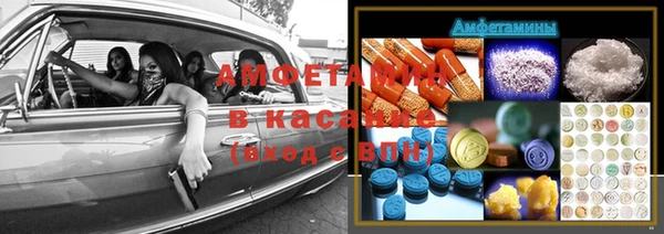 гидра Аркадак