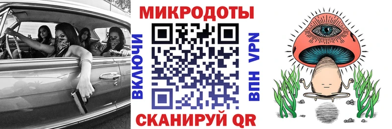 Галлюциногенные грибы MAGIC MUSHROOMS  блэк спрут tor  Ельня 